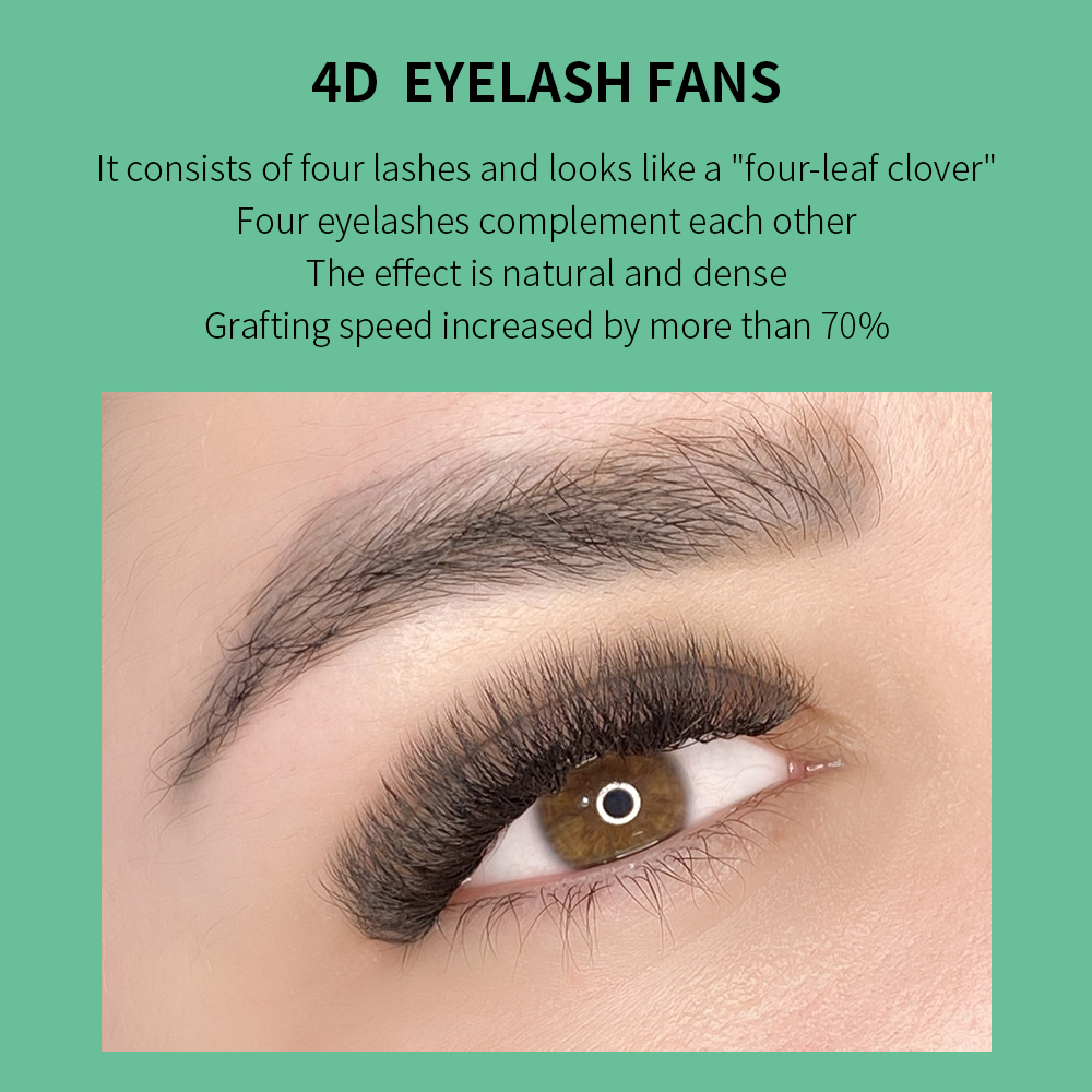 GLAMLASH 4D - W-образное наращ – обзор и цена Eyelash Extension C Curl